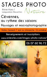 Stage Photo Nature : Cévennes, paysages et macrophotographie au rythme des saisons. Du 7 mai au 16 octobre 2016 à L'Espérou. Gard.  09H00